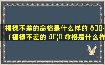 福禄不差的命格是什么样的 🌷 （福禄不差的 🦟 命格是什么样的人）